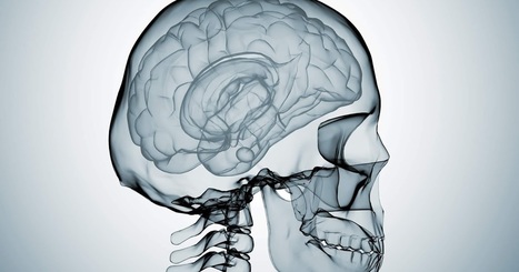 The Clearwater Personal Injury Law Firm: Penetrating Brain Injuries and Personal Injury | Personal Injury Attorney News | Scoop.it