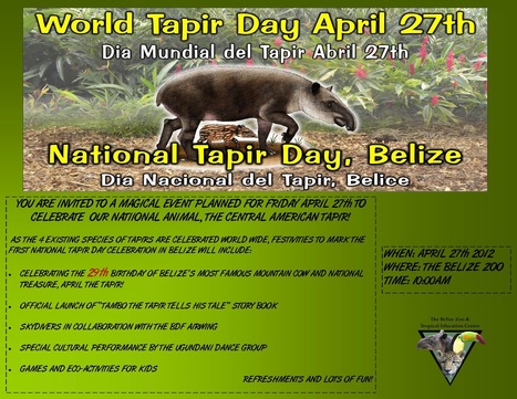 World Tapir Day at Belize Zoo | Cayo Scoop!  The Ecology of Cayo Culture | Scoop.it