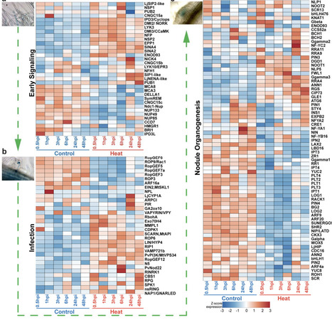 ProtAff: Protein Binding Affinity Prediction vi...