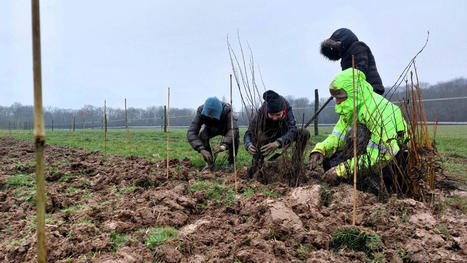 "Un atout pour la biodiversité" : en Essonne, des paysans replantent des haies bocagères | Actu Essonne | Paysage - Agriculture | Scoop.it