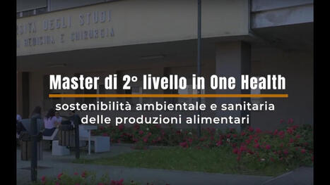 Master One Health: un successo italiano di formazione integrata su salute, ambiente e sostenibilità - UNIMORE | Italian Social Marketing Association -   Newsletter 228 | Scoop.it