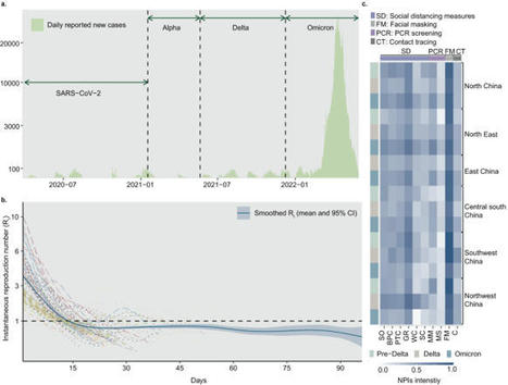 Effects of public-health measures for zeroing out different SARS-CoV-2 variants | Nature Communications | Mucosal Immunity | Scoop.it