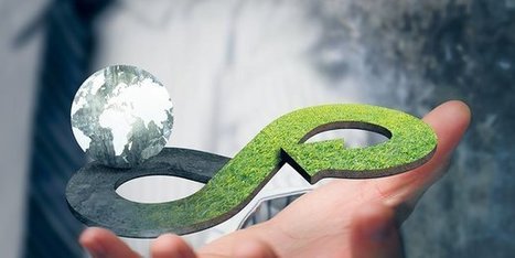 Comment faire tourner l'économie circulaire plus rond ? | Economie circulaire - Environnement | Scoop.it