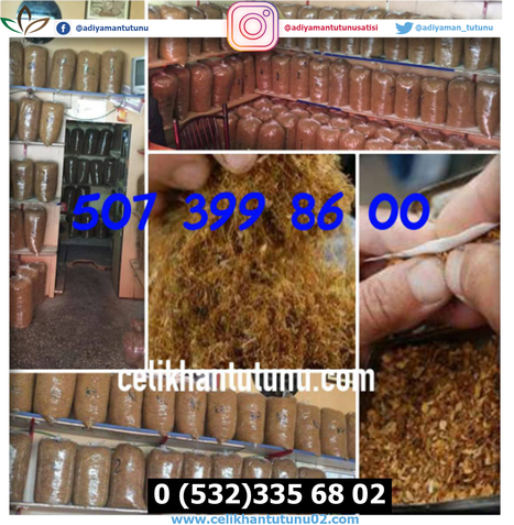 Celikhan Tutunu Nasi