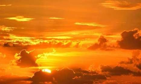 A warmer climate will also be a drier climate, with negative impacts on forest growth | Timberland Investment | Scoop.it