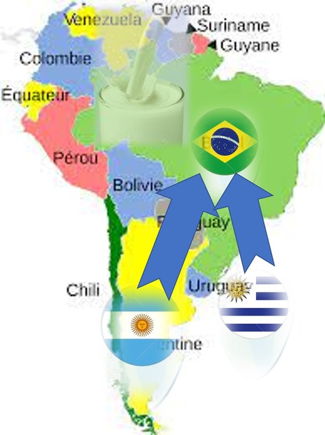 L'Argentine et l’Uruguay inondent le marché brésilien de lait | Lait de Normandie... et d'ailleurs | Scoop.it