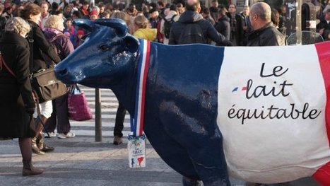 Le lait équitable, c’est quoi au juste ? - France 3 Bretagne | Lait de Normandie... et d'ailleurs | Scoop.it