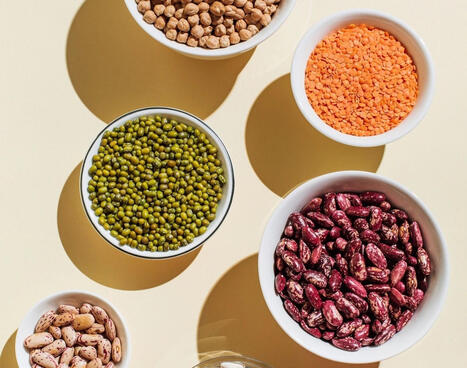 Quelle quantit&eacute; de fibres consommer chaque jour ? #Pr&eacute;vention #CancerColorectal #AlimentationSaine @EFSA_EU @aicrtweets @jenmesserRD @HNRCA_Tufts @StanfordHealth @Neil_Iyengar @MSKCancerCenter @CNe... | autour du CANCER | Scoop.it