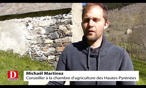 Aulon : des nichoirs à chouette pour lutter contre le campagnol | Vallées d'Aure & Louron - Pyrénées | Scoop.it