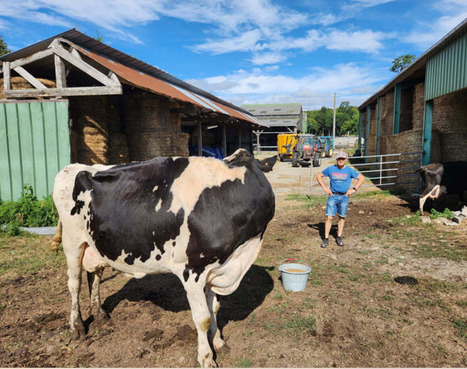 « Une carence en minéral a entraîné des boiteries sur nos laitières », dans les Côtes-d'Armor | SCIENCES DE L' ANIMAL | Scoop.it