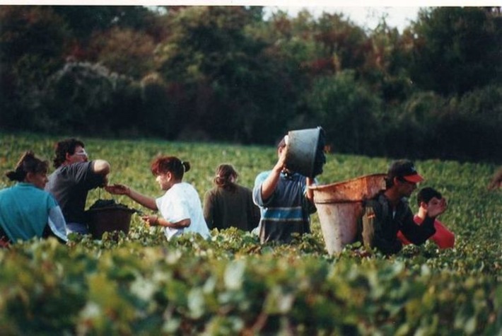 La bonne cuisine de la fête des vendanges en Beaujolais | Ma douce France | Scoop.it