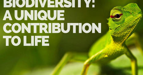 New research underscores the vital role played by the World Heritage Convention in protecting biodiversity | Ecosystèmes Tropicaux | Scoop.it