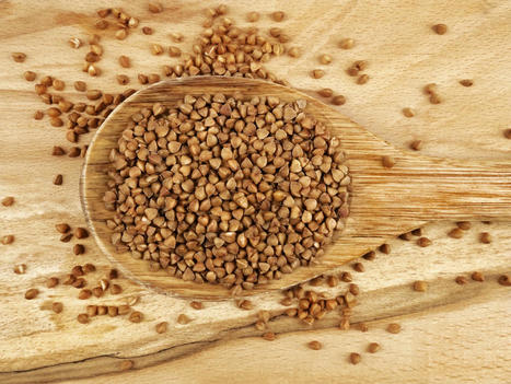 Esenco - Ingrédients issus de coproduits | AGROALIMENTAIRE | Scoop.it