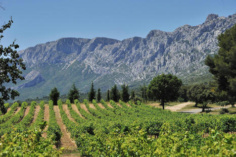 Le paysage comme un moyen de réussir la transition écologique et sociale des territoires | PAYSAGE ET TERRITOIRES | Scoop.it