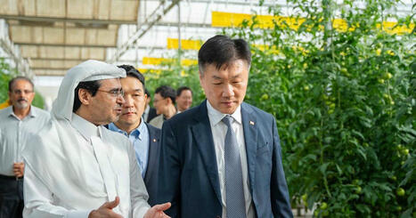ASIA: Korea builds smart farm in Saudi Arabia to drive ag-tech exports  | ASIES | Scoop.it