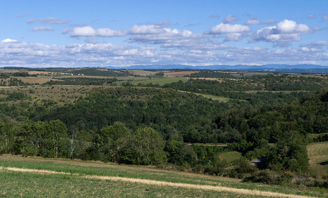 Paysage du L&eacute;vezou depuis la route entre St-Beauz&eacute;ly et St-L&eacute;ons ... | Aveyron | Scoop.it