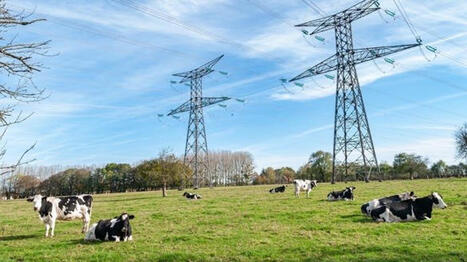 R&eacute;aliser des &eacute;conomies d'&eacute;lectricit&eacute; en &eacute;levage laitier | Elevage et environnement | Scoop.it