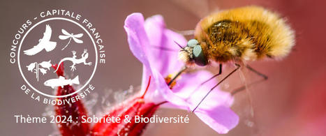 Sobriété & biodiversité. Collectivités : partager et valoriser vos actions pour la biodiversité avec Capitale française de la Biodiversité | Variétés entomologiques | Scoop.it