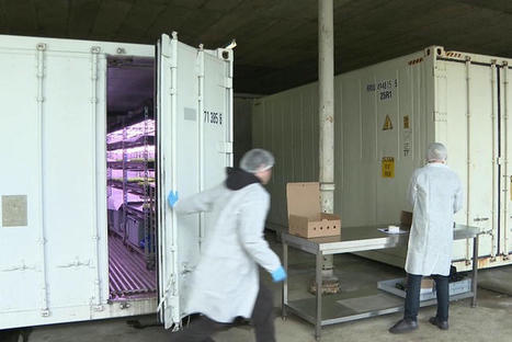 Agriculture dans des containers : la solution pour nourrir la planète demain ? - France TV info | Veille Centre de Ressources | Scoop.it