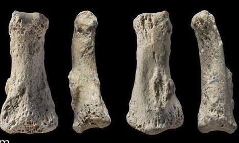 Archaeologists discover the oldest human bone in the Middle East | Aux origines | Scoop.it