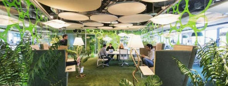 Acquire the Best and Professional Biophilic Design Service in the UK | Harleen Mclean | Scoop.it
