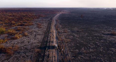 Pantanal &eacute; o bioma brasileiro que mais aqueceu e perdeu chuvas em 40 anos | Inova&ccedil;&atilde;o Educacional | Scoop.it