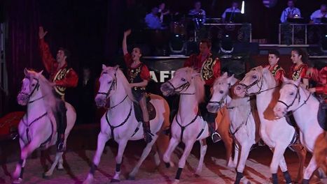 Quel cirque ! | ARTE | Salon du Cheval | Scoop.it