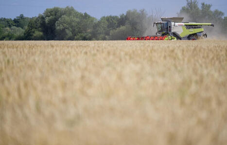 Agriculture&nbsp;: La ministre autorise pour 120 jours un herbicide interdit, des ONG saisissent la justice | Plan&egrave;te DDurable | Scoop.it