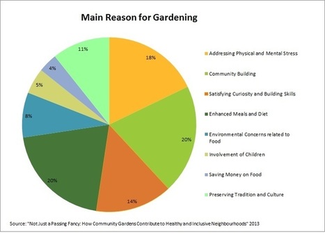 The Hidden Power Of Community Gardens N