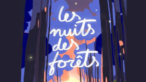 4 for&ecirc;ts vosgiennes s&rsquo;engagent avec Les Nuits des For&ecirc;ts ! | Vosges T&eacute;l&eacute;vision | La SELECTION du Web | CAUE des Vosges - www.caue88.com | Scoop.it