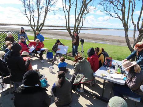 Nature Journaling Educator Program — | Rainforest CLASSROOM | Scoop.it