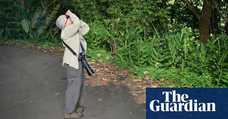 Do birders make good tourists? ‘In the 90s you’d get some deeply suspicious looks’ | Australian lifestyle | The Guardian | Tourisme Durable - Slow | Scoop.it