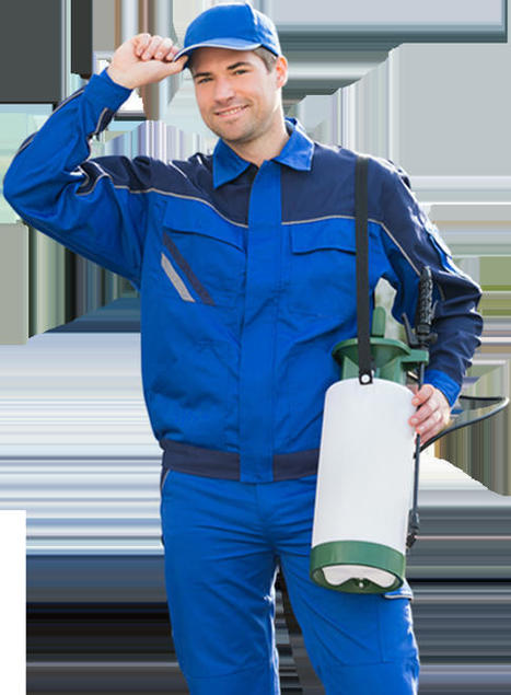 Pest Control Lucknow | Pest Control Company in Lucknow - 24X7 Pest Control | Pest Control Services | Scoop.it
