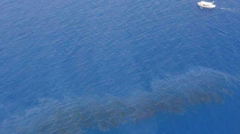 Pollution en Corse : "C'est indispensable de frapper un grand coup", estime Corinne Lepage | Home | Scoop.it