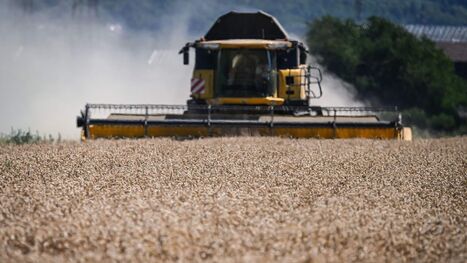 Agriculture&nbsp;: 3 chiffres pour comprendre les difficult&eacute;s des c&eacute;r&eacute;aliers | Revue de presse du Centre de doc | Scoop.it