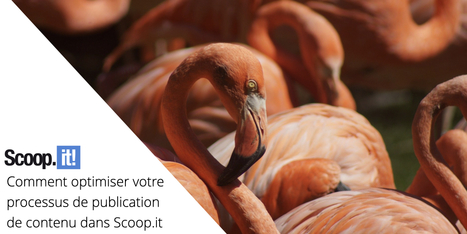 Comment optimiser votre processus de publication de contenu dans Scoop.it | #Curation #ContentCuration #PKM #KM | 21st Century Learning and Teaching | Scoop.it