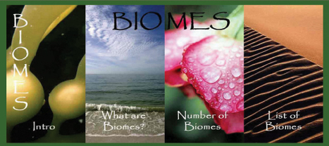 World Biomes | GTAV AC:G Y9 - Biomes and food security | Scoop.it