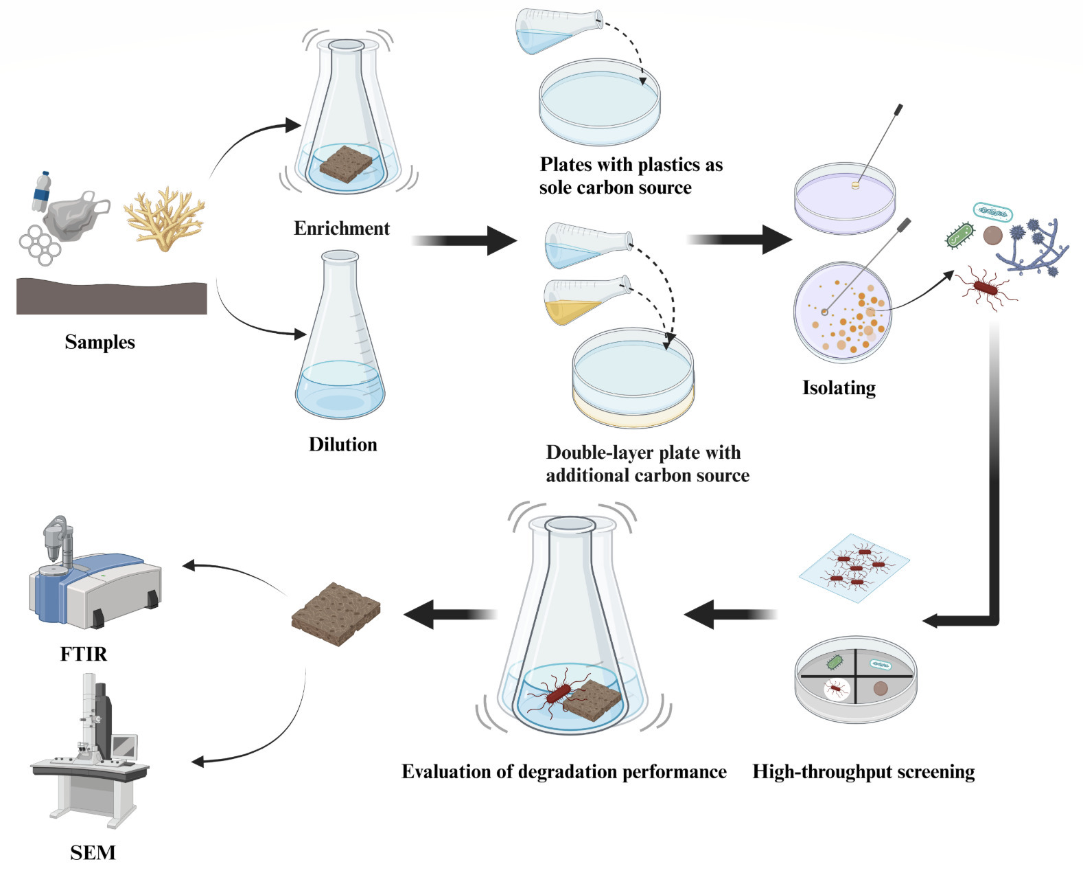 Isolation and characterization of marine microo...
