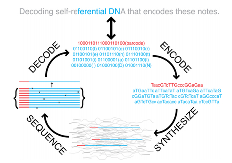 The Biological Internet | Science News | Scoop.it