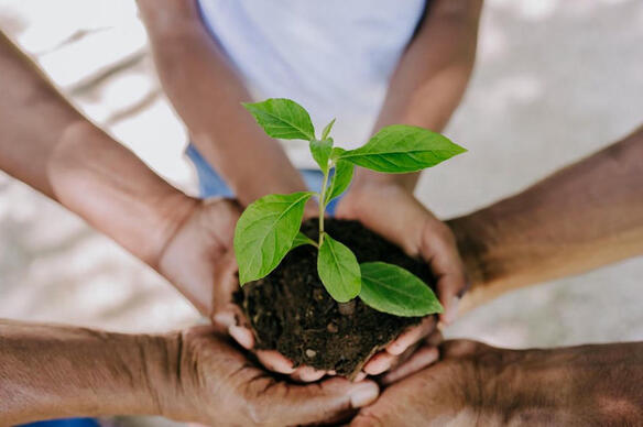 L'Union européenne et l'écologie