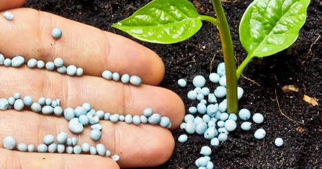 DURABILITES : Sand To Green, la tech au chevet des sols | DURABILITES | Scoop.it