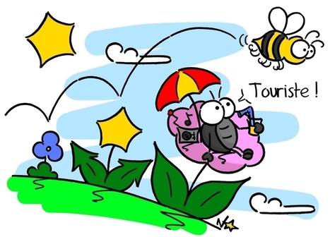 Sauvages du Poitou - Insectes pollinisateurs (1) : la Sauvage et le coléoptère | EntomoScience | Scoop.it