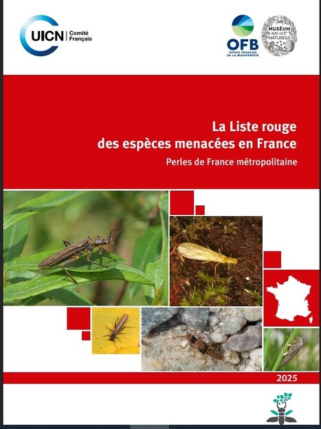 Situation préoccupante pour les mille-pattes et les perles de France métropolitaine | Biodiversité : les chiffres-clés | Scoop.it