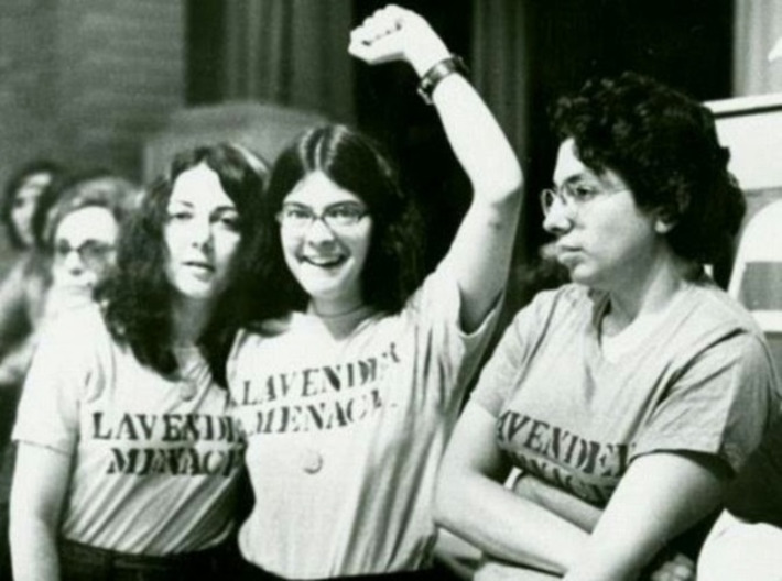 Sex Trouble: Radical Feminism and the Long Shadow of the 'Lavender Menace' | Herstory | Scoop.it