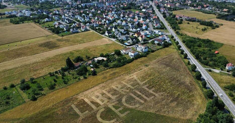 Soultz. Des agriculteurs écrivent un message géant dans un champ pour soutenir la libération de Cécile Kohler | @ZeHub | Scoop.it
