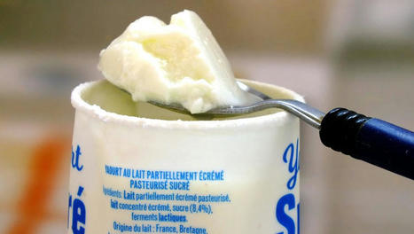 yaourts et plastique, une absurdité - Observatoire des aliments