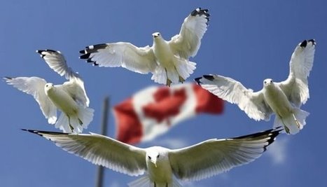 Free trade agreement between Ukraine and Canada comes into force | CONFLIT RUSSO-UKRAINIEN | Scoop.it