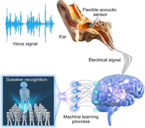 An intelligent MXene/MoS2 acoustic sensor with high accuracy for mechano-acoustic recognition | Biomimicry 3.8 | Scoop.it