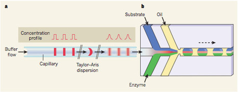 High-resolution dose–response screening using droplet-based microfluidics | Amazing Science | Scoop.it