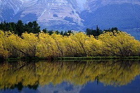 Aspiring to Paradise in New Zealand | Trekking | Scoop.it